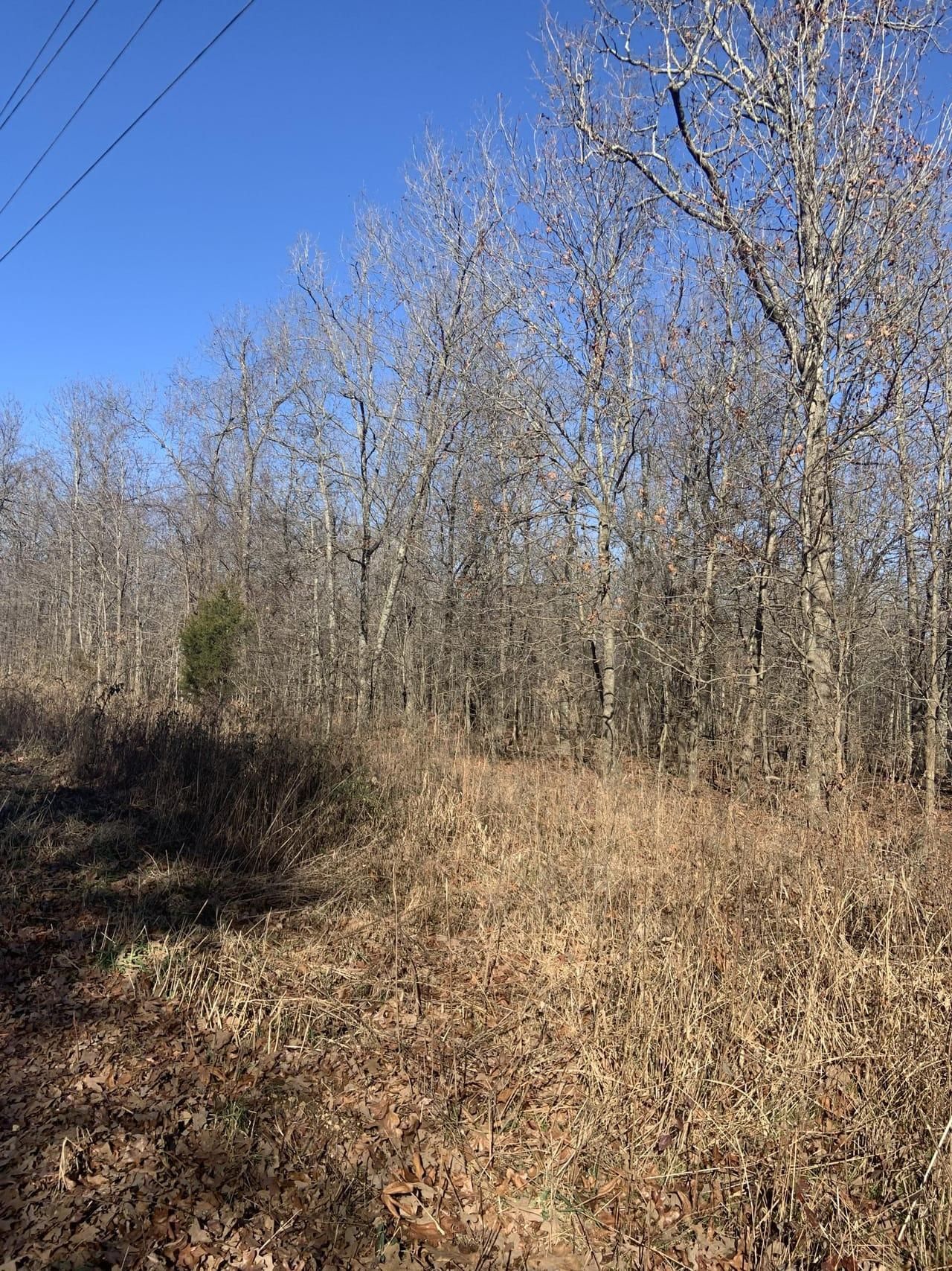 10 acres in Ripley County, Missouri