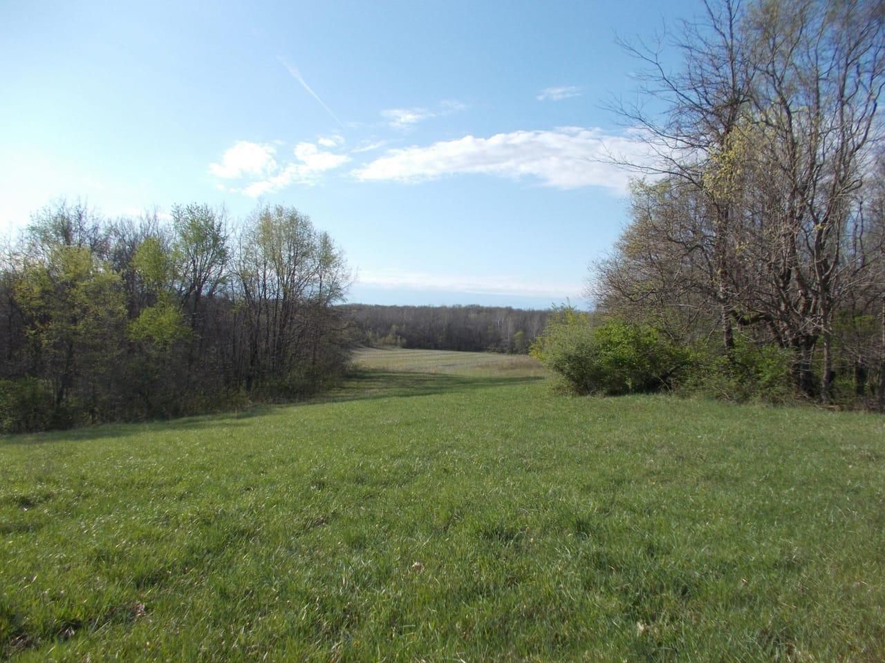 29 acres in Vermillion County, Indiana