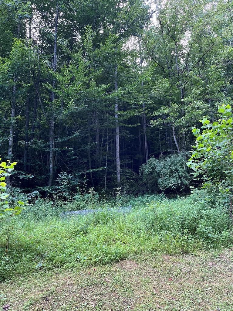 2.5 acres in Floyd County, Kentucky