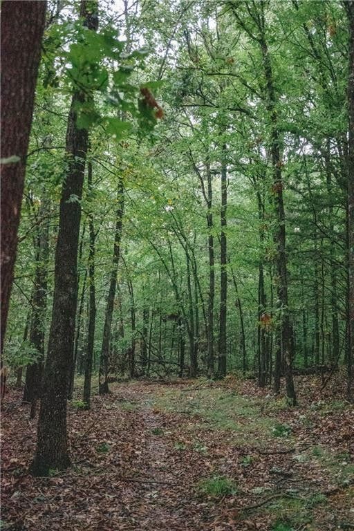 138.3 acres in McDonald County, Missouri