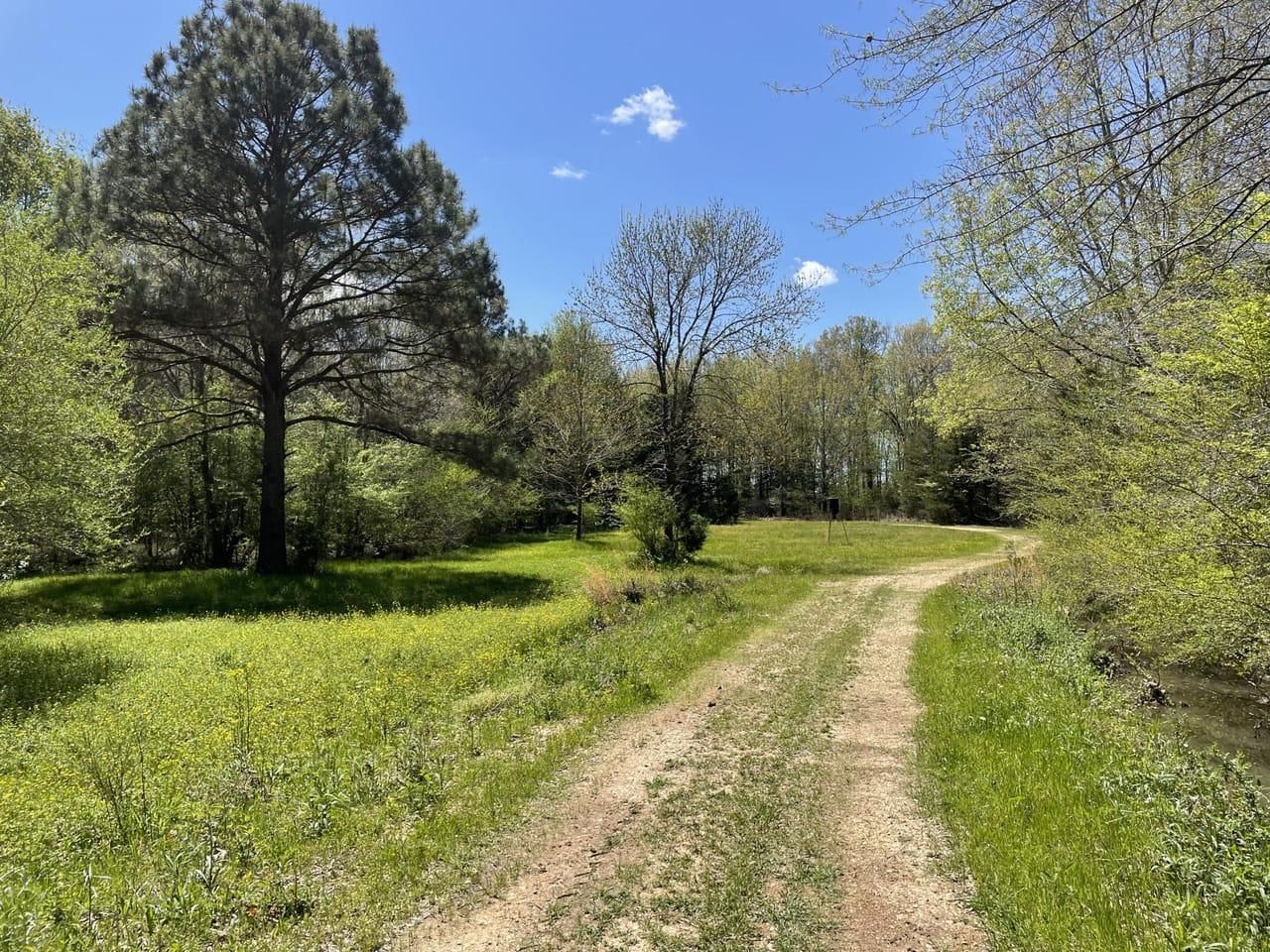 40 acres in Monroe County, Mississippi