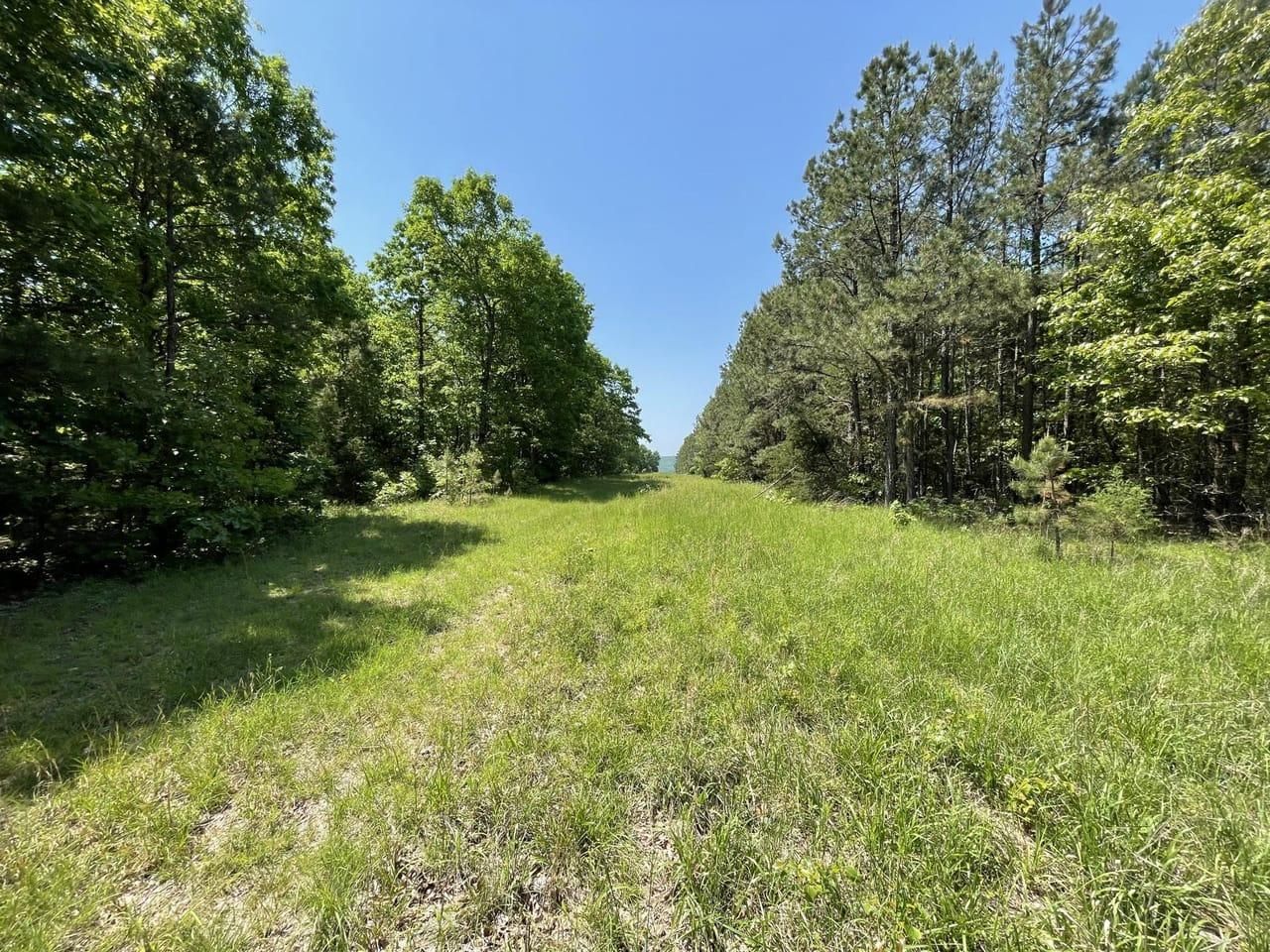 80 acres in Stone County, Arkansas