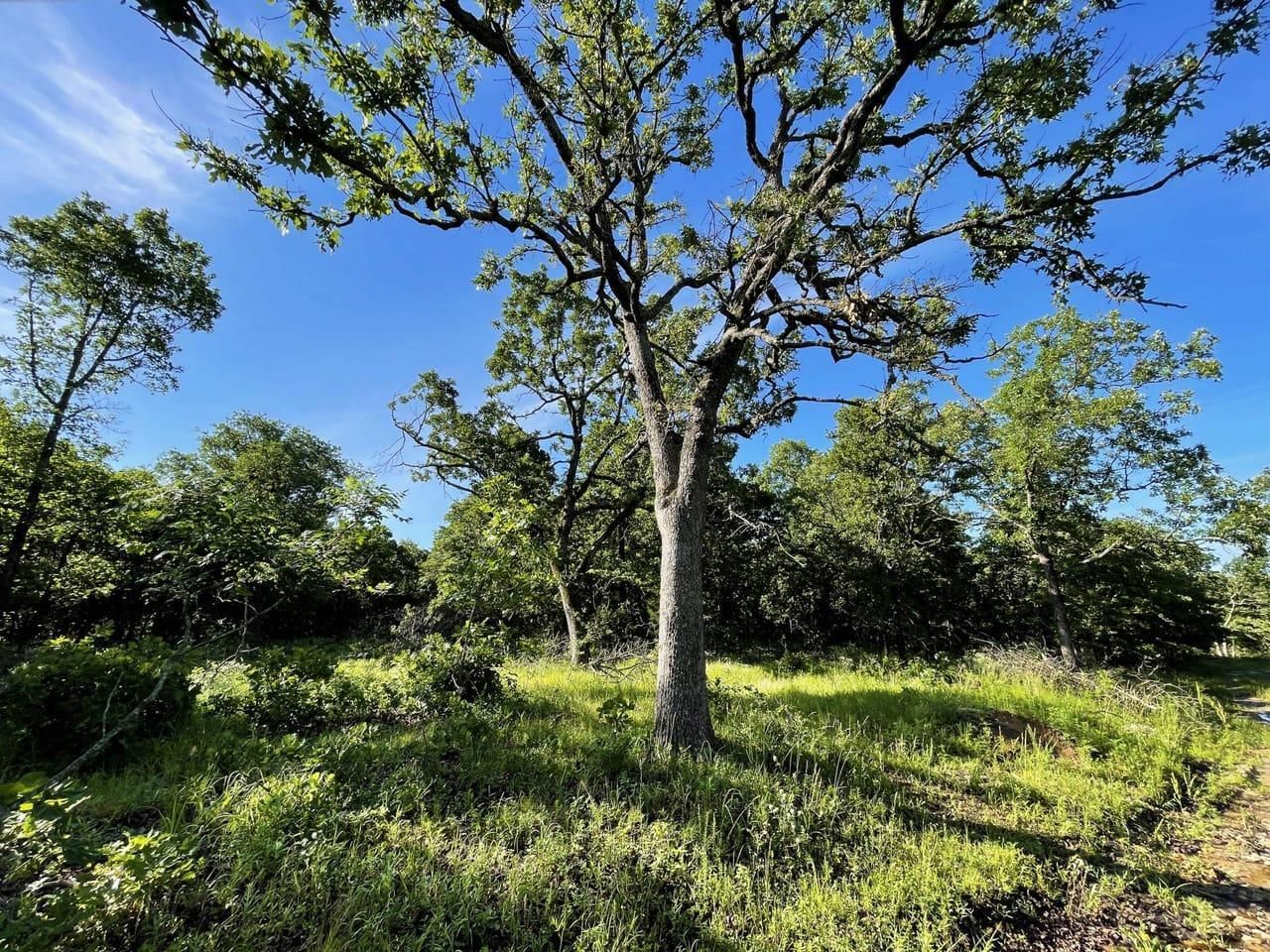 32 acres in Creek County, Oklahoma