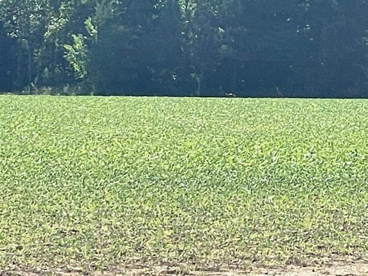 100 acres in Parke County, Indiana