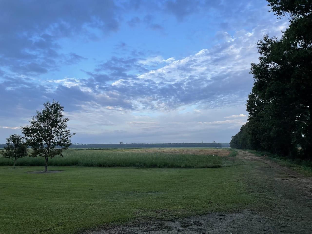 265 acres in Allen Parish, Louisiana