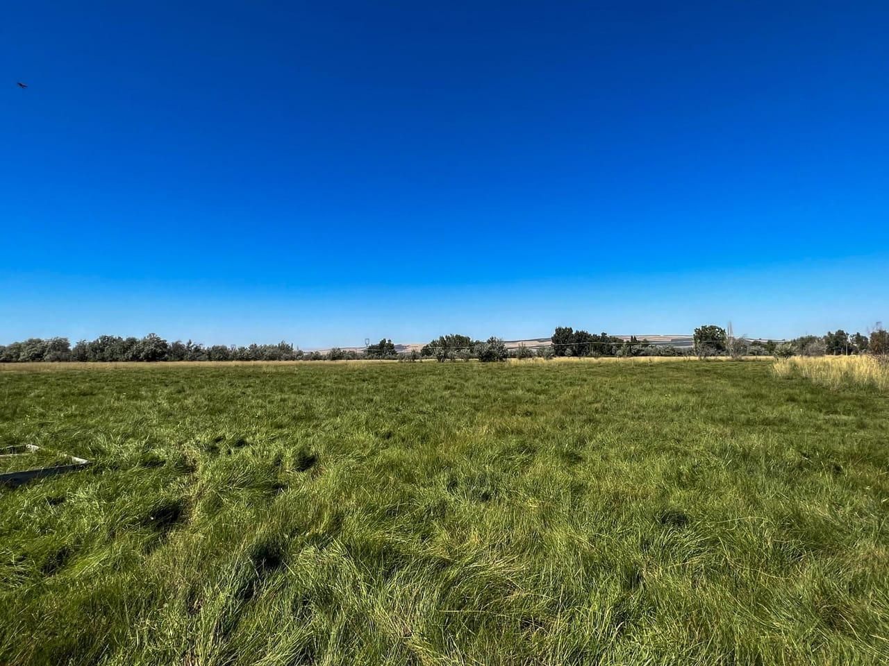 38 acres in Morrow County, Oregon