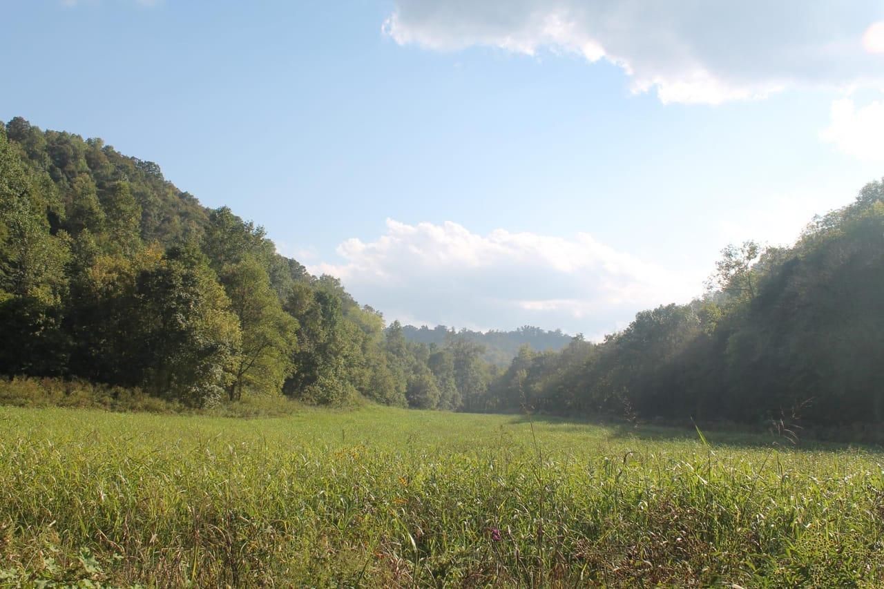 88 acres in Jackson County, Tennessee