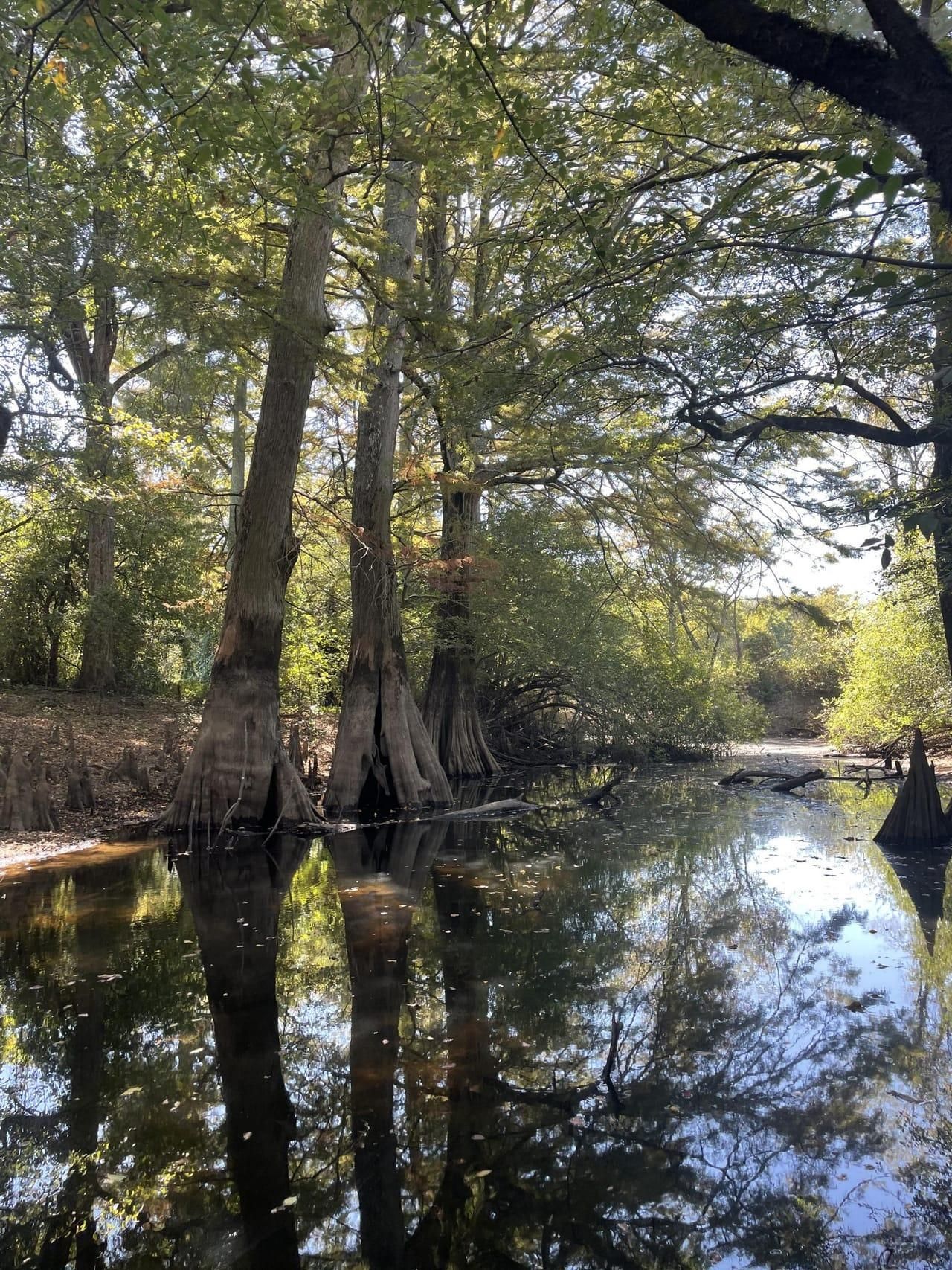 24.5 acres in Jackson County, Arkansas