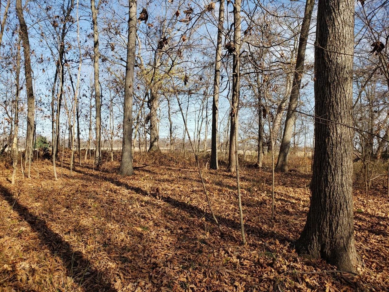 10 acres in Vermillion County, Indiana