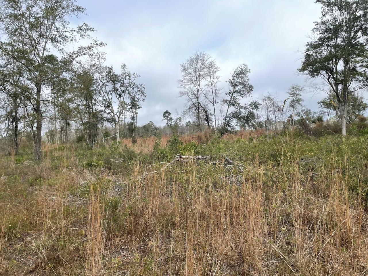 Fargo Hwy, Homerville, GA 31634