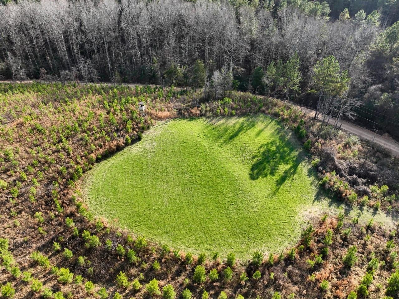 White Road, Beaverton, AL 35544 MLS 23297