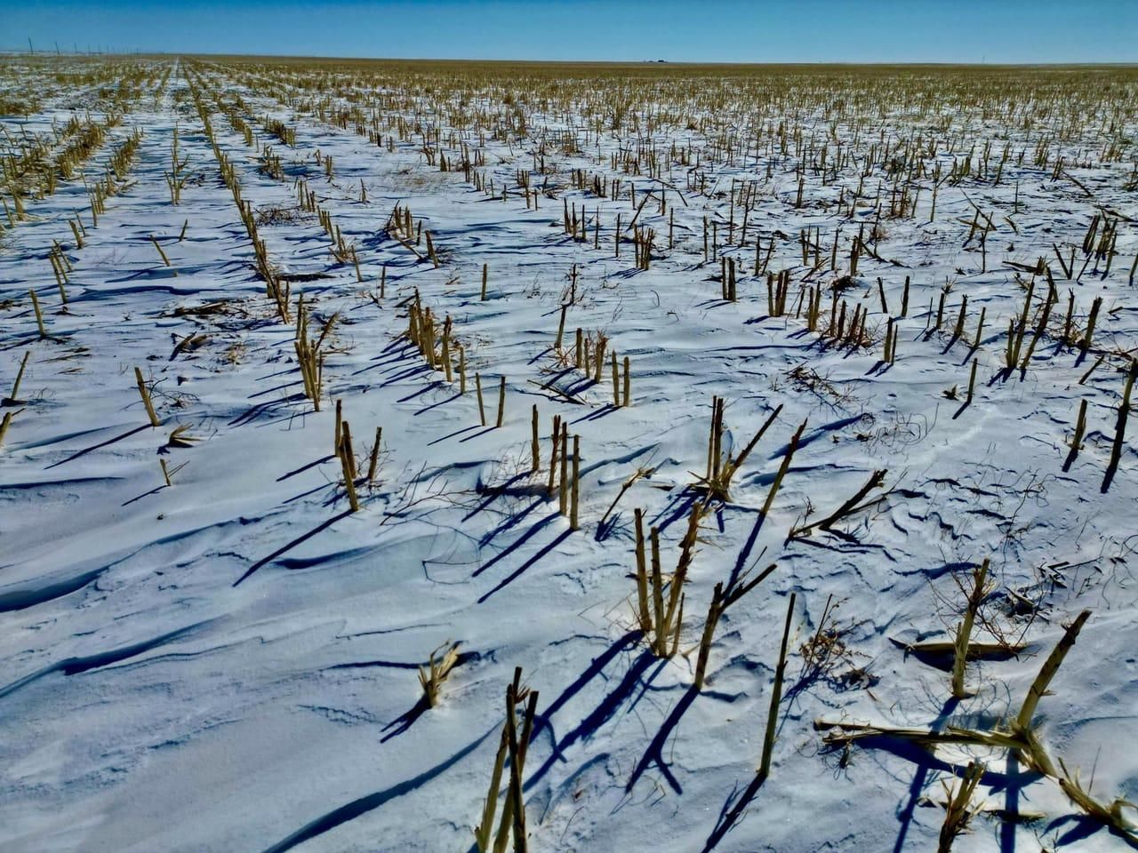 790 acres in Baca County, Colorado