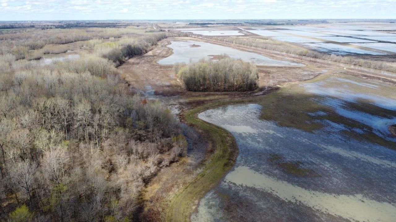 182.34 acres in New Madrid County, Missouri