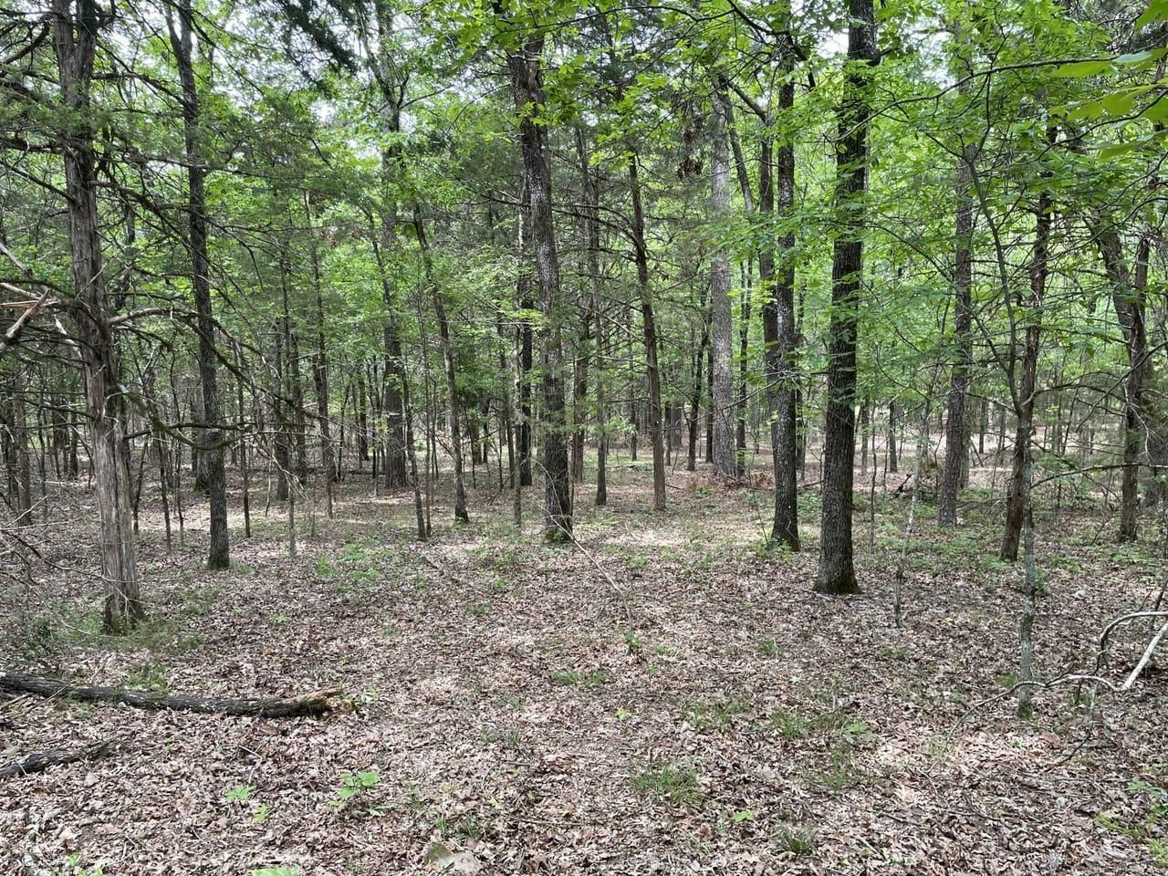 10 acres in Stone County, Arkansas