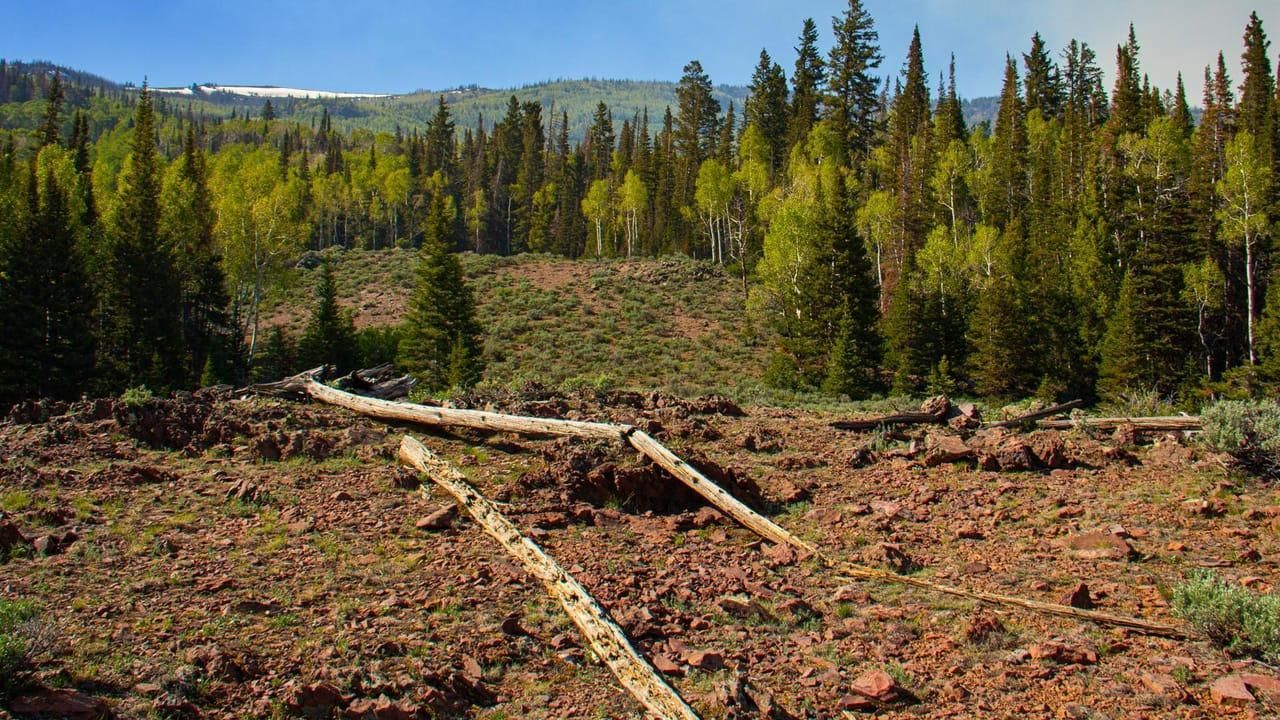 40 acres in Sevier County, Utah