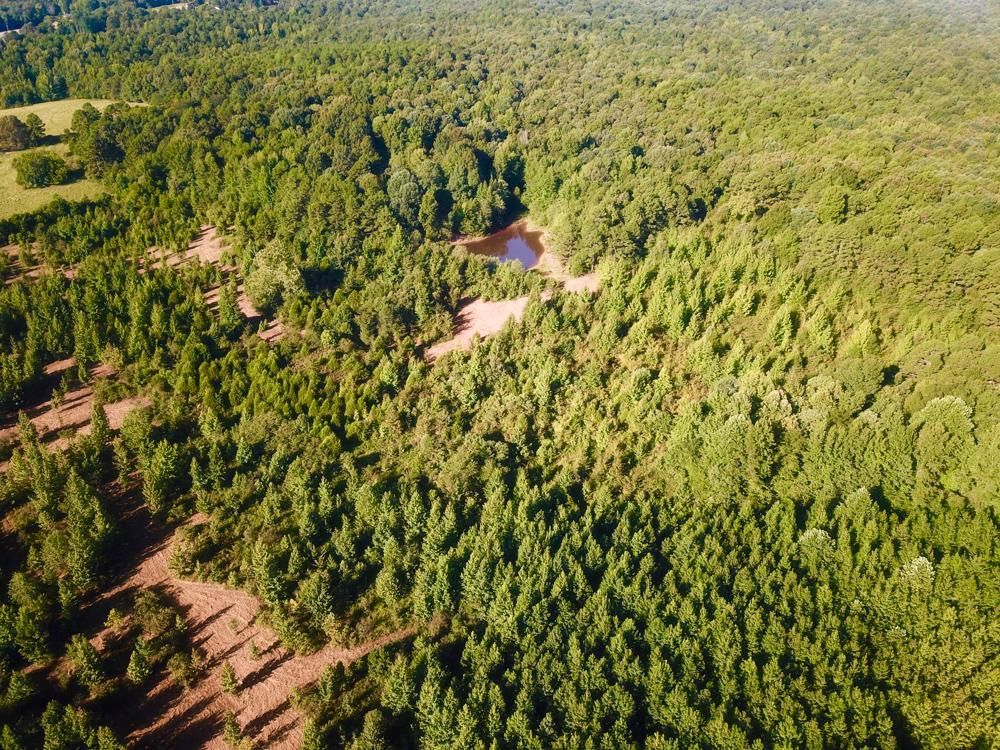 63 acres in Greene County, Arkansas