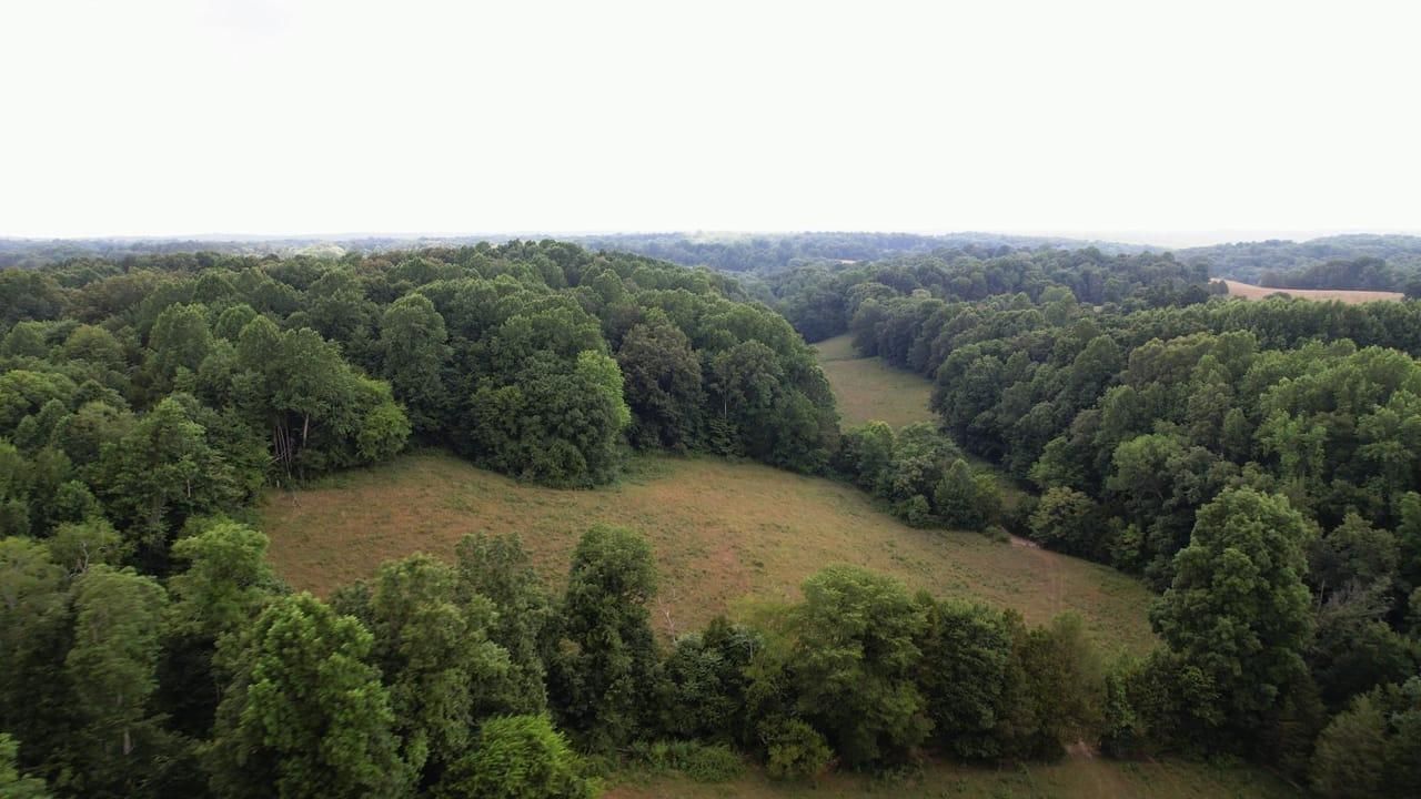 117 acres in Sumner County, Tennessee