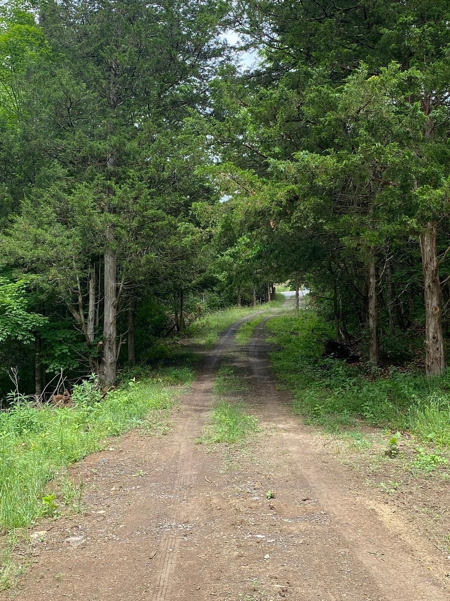 6.38 acres in Pendleton County, West Virginia