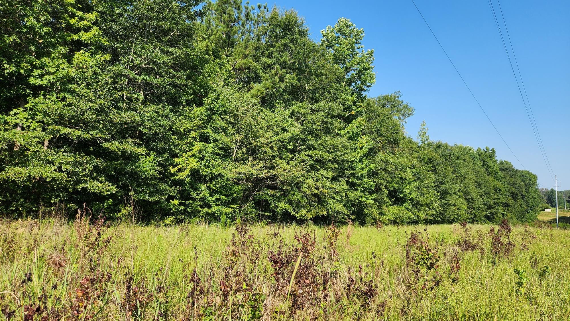 1050 Bohannon Road, Grantville, GA 30220