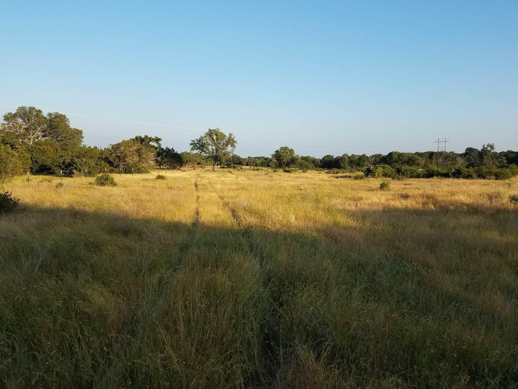 75 acres in County, Texas