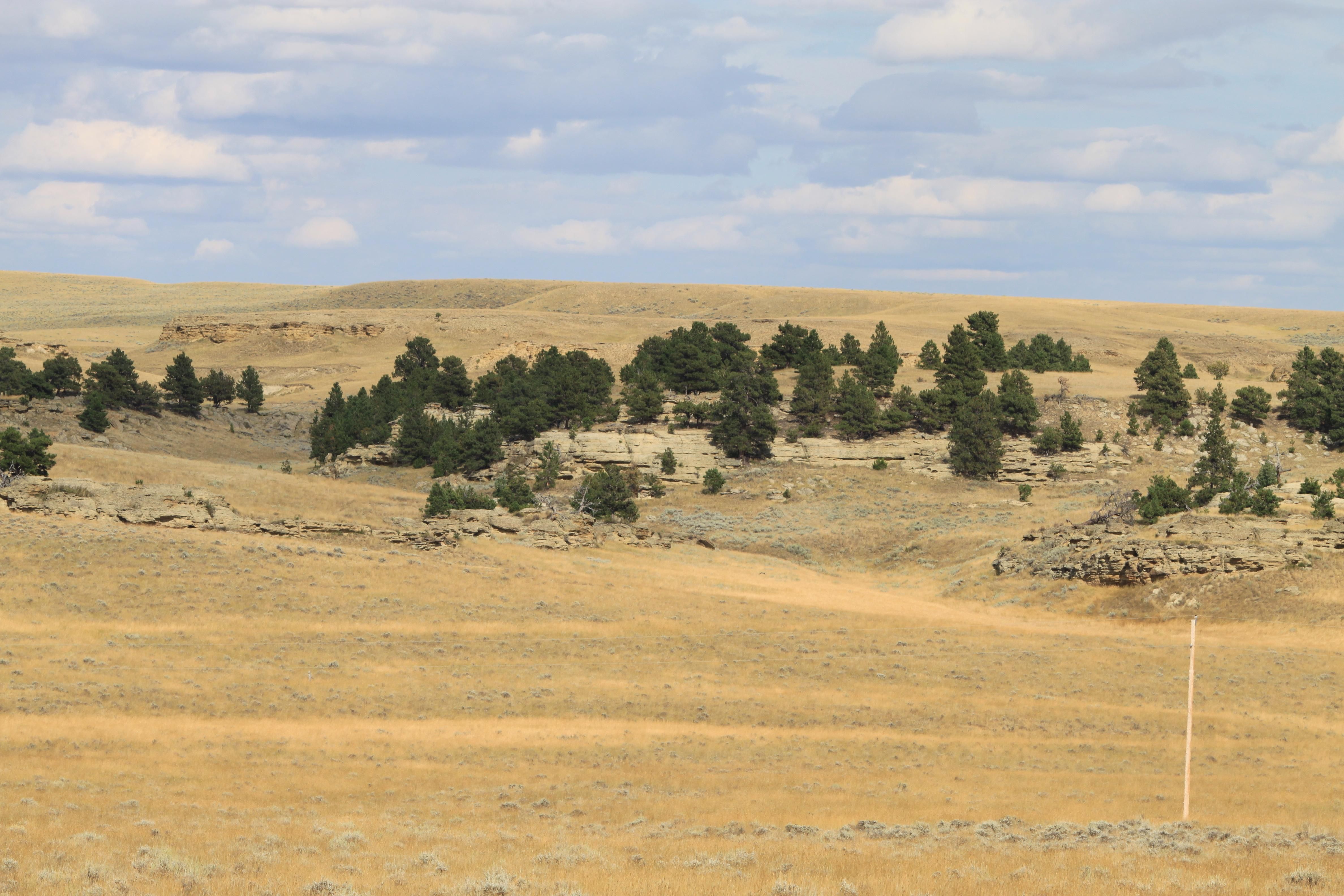 6,252 acres in Ryegate, MT, 59074