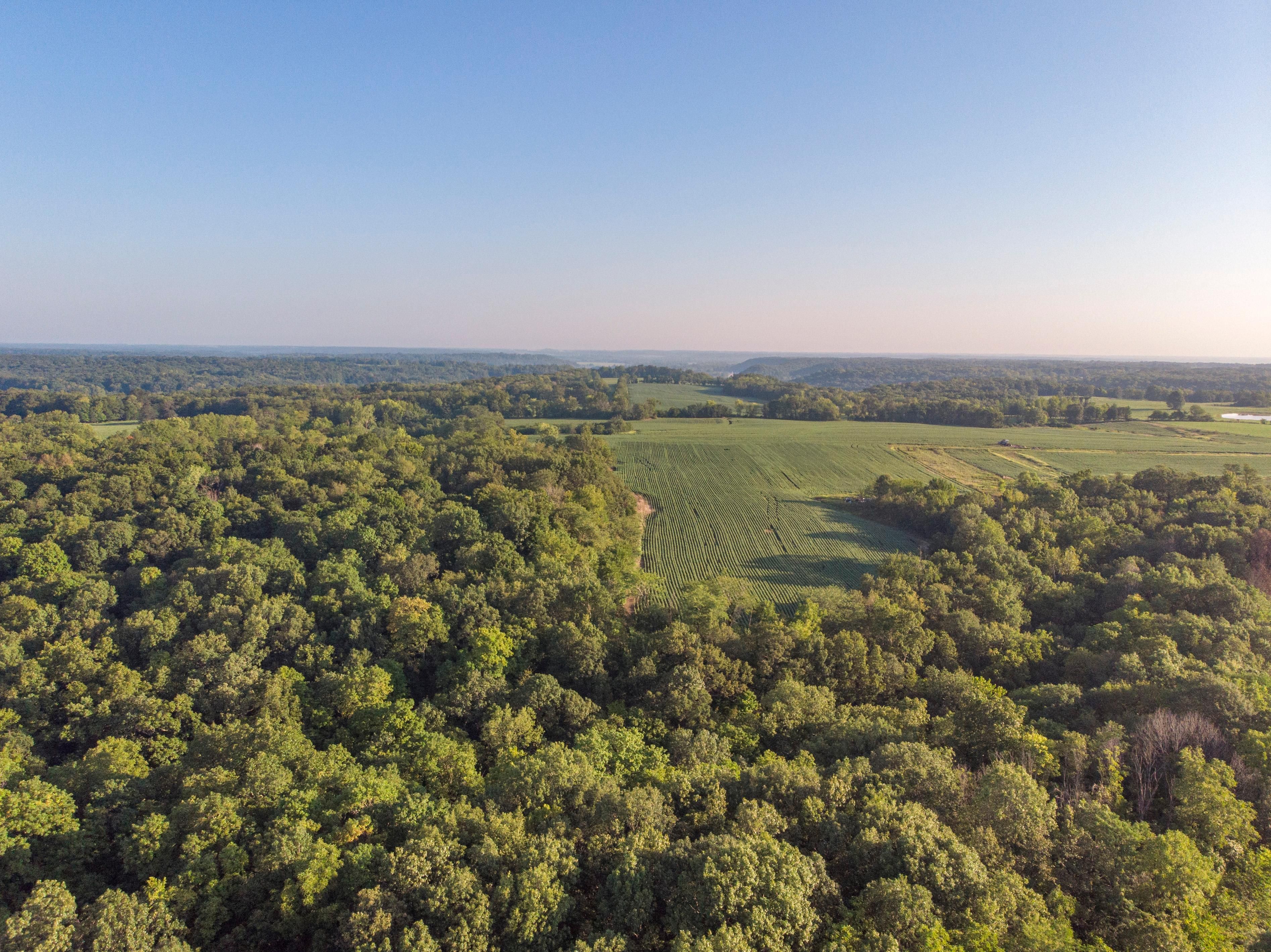 66 acres in Ralls County, Missouri