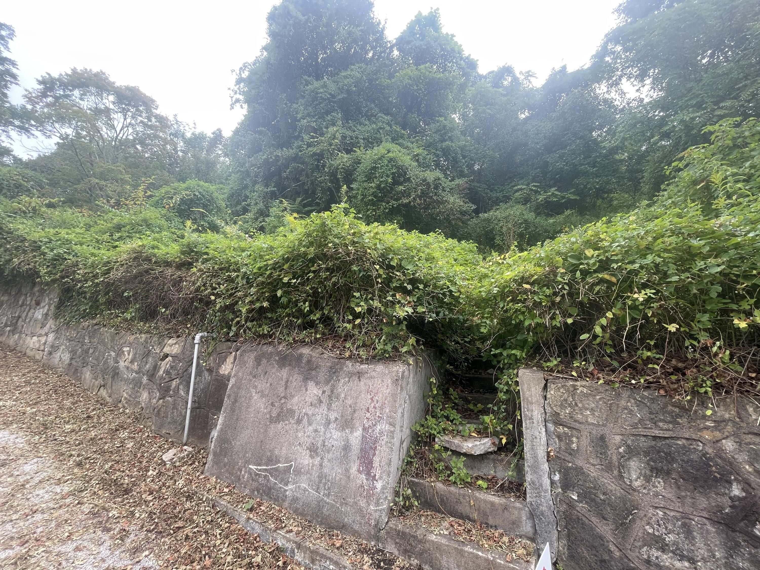 522 Mary St, Charleston, WV 25302 MLS 231110