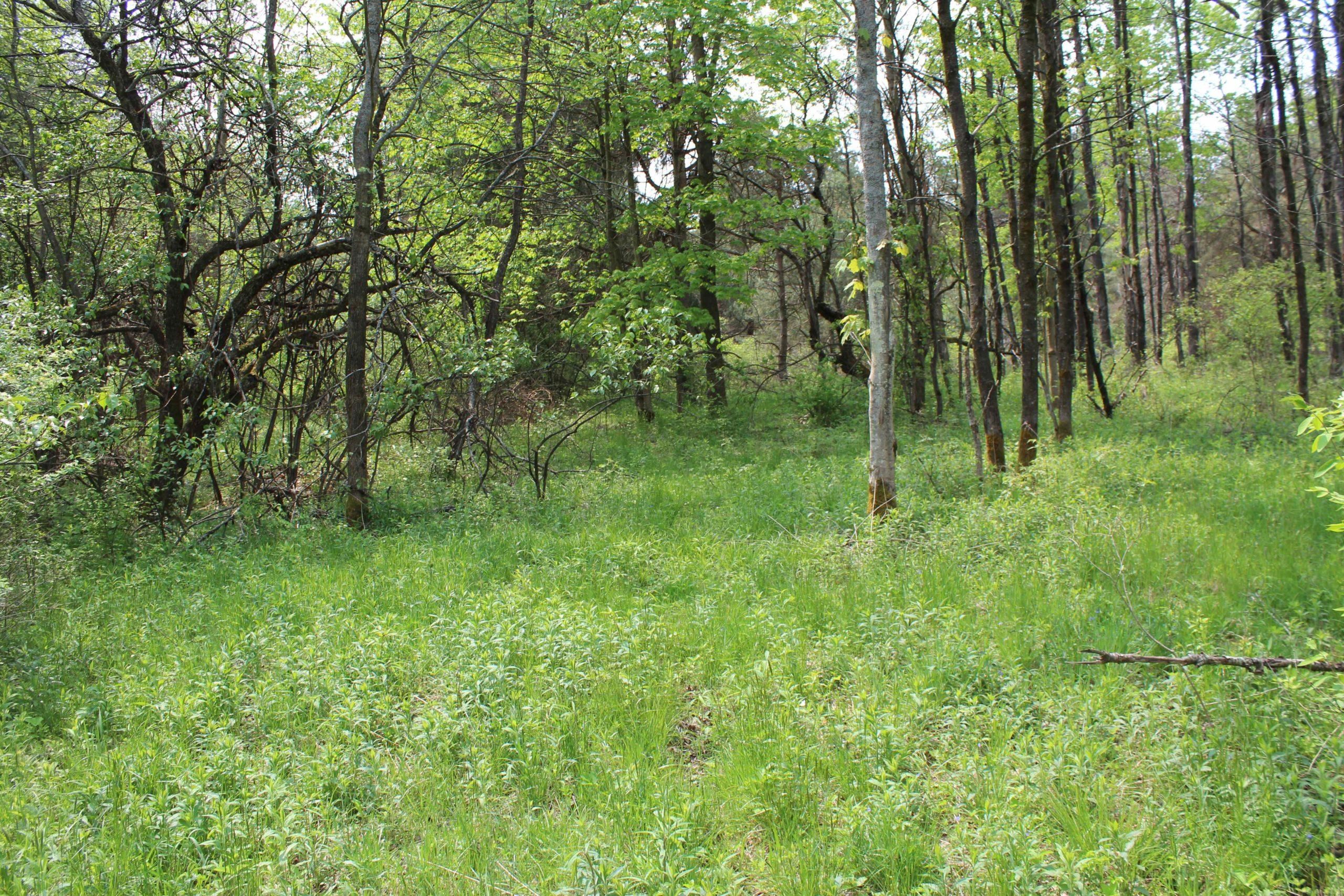 9.67 acres in Broome County, New York