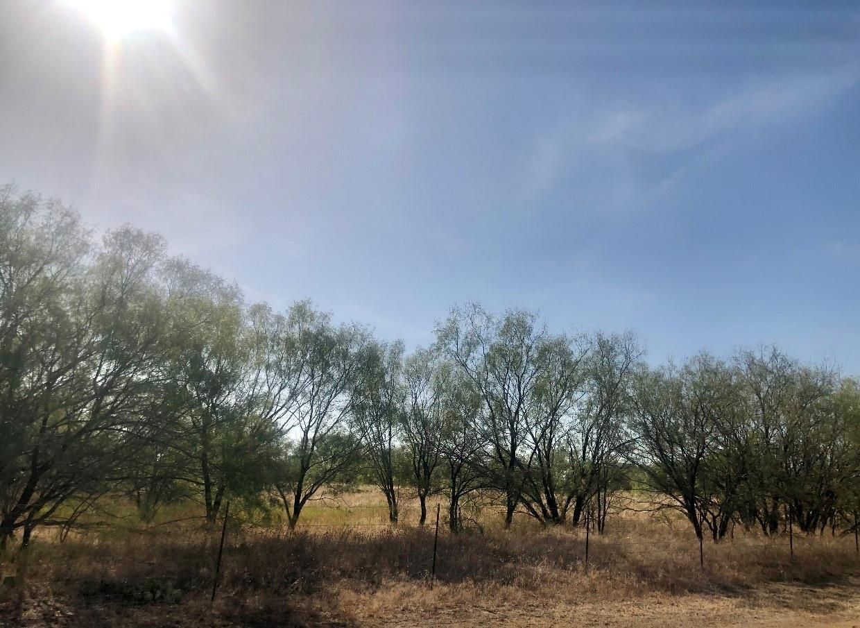 10.01 acres in Gustine, TX, 76455 MLS 20417455