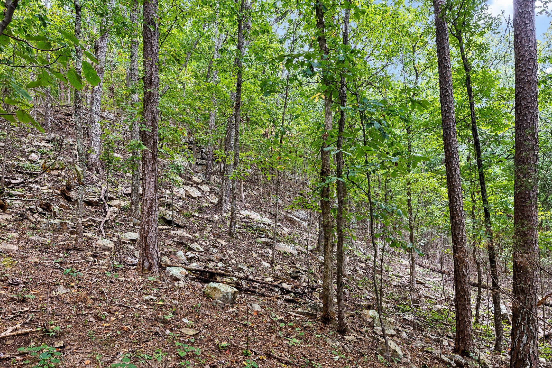5 acres in Marion County, Tennessee