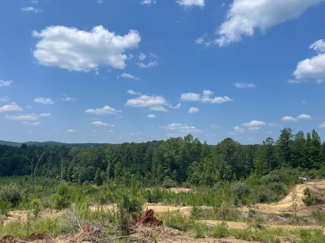 40 acres in Shelby County, Alabama