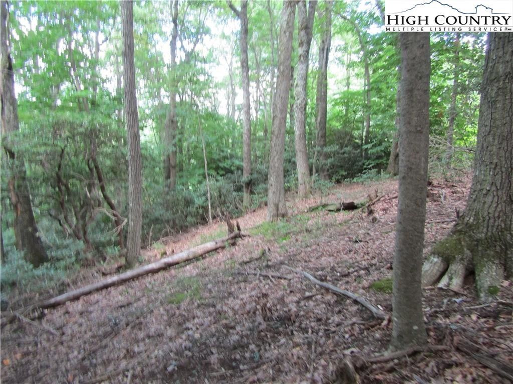 24 acres in Watauga County, North Carolina