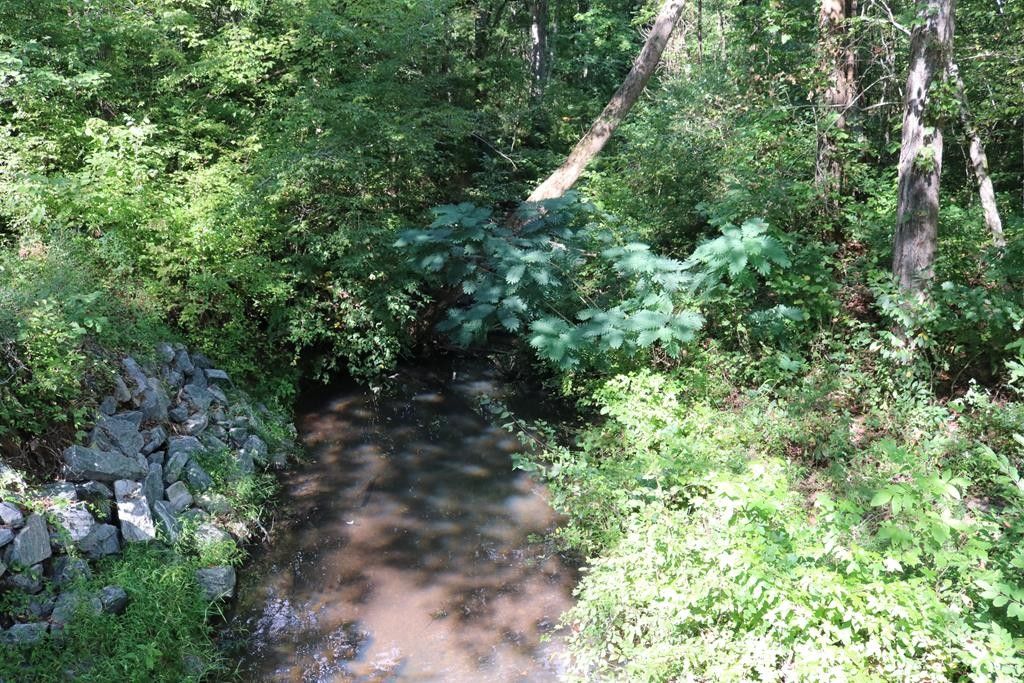 42.85 acres in Charlotte County, Virginia