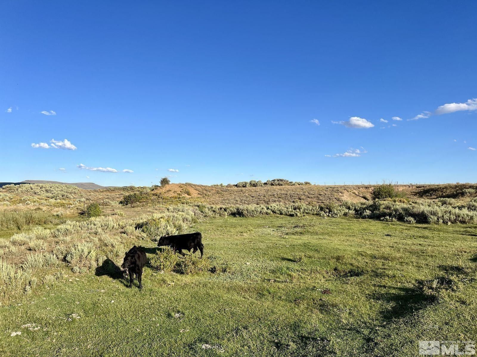 4,500 acres in Elko County, Nevada