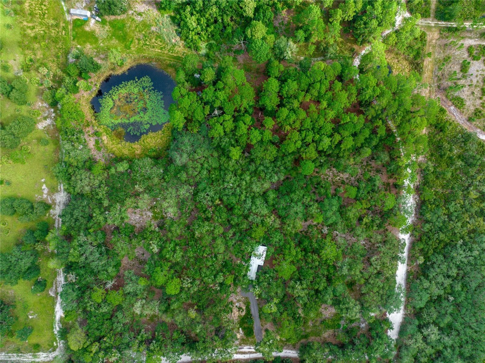 7 acres in Lake County, Florida