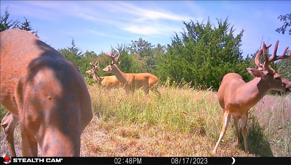 000 E 840 Seward Rd., NEC of Indian Meridian Road, Meridian, OK 73058