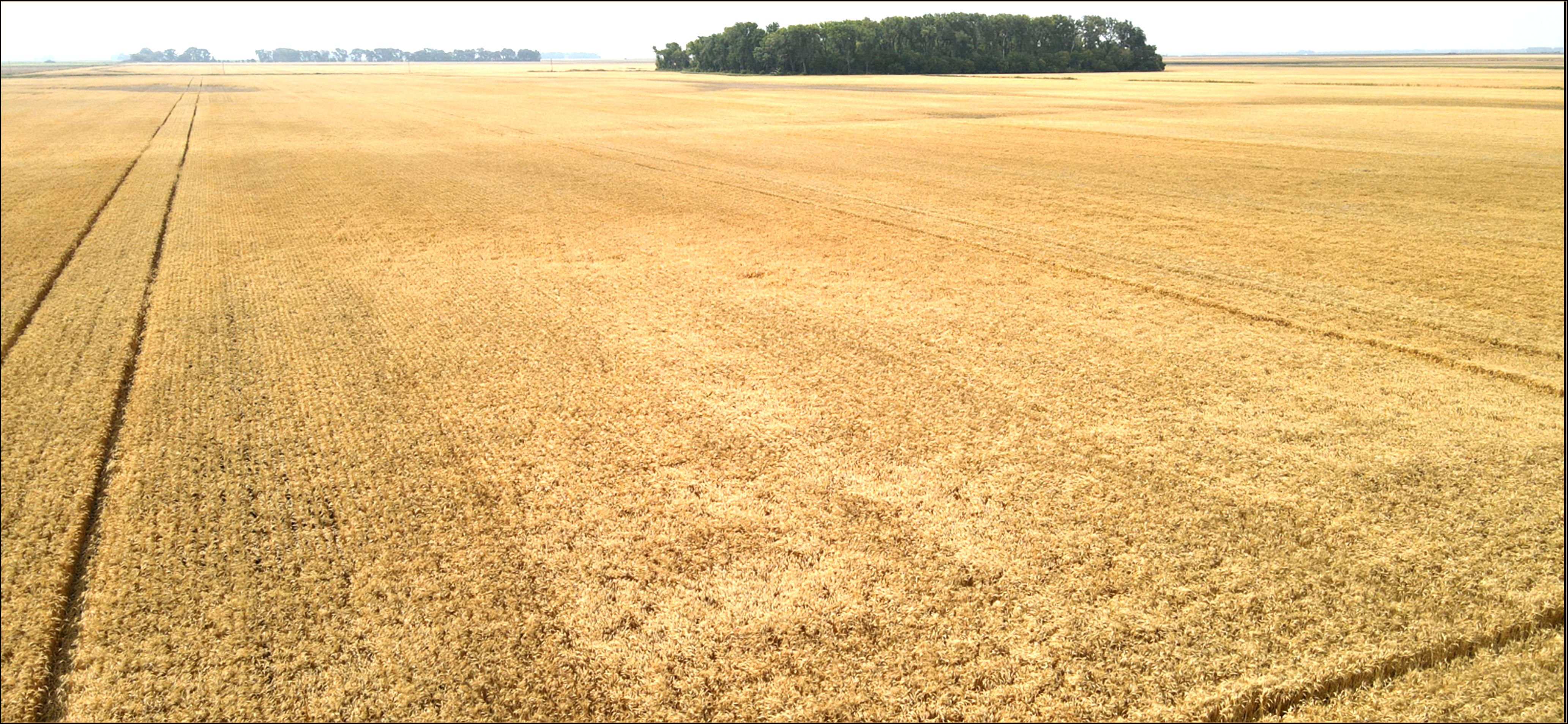 80 acres in Pembina County, North Dakota