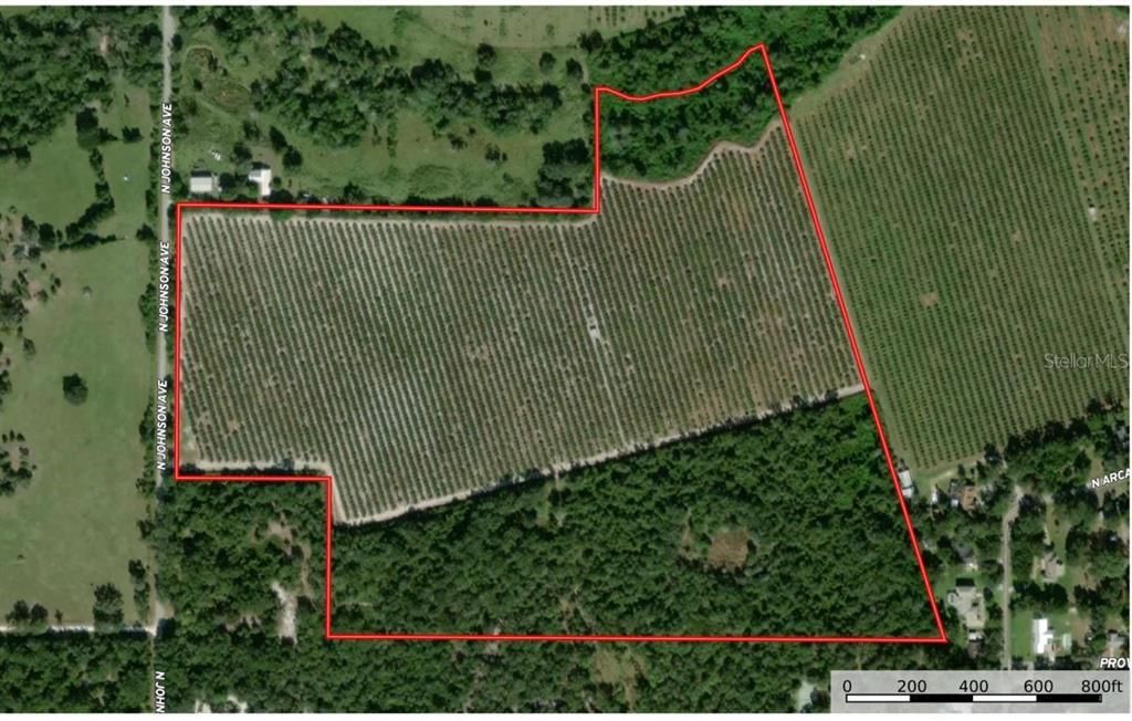 70 acres in DeSoto County, Florida