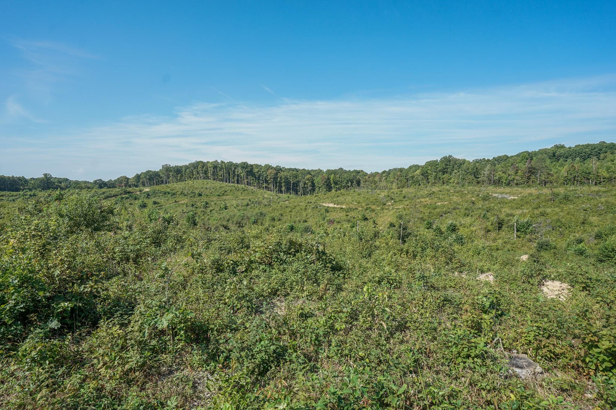 54.57 acres in Jackson County, Ohio