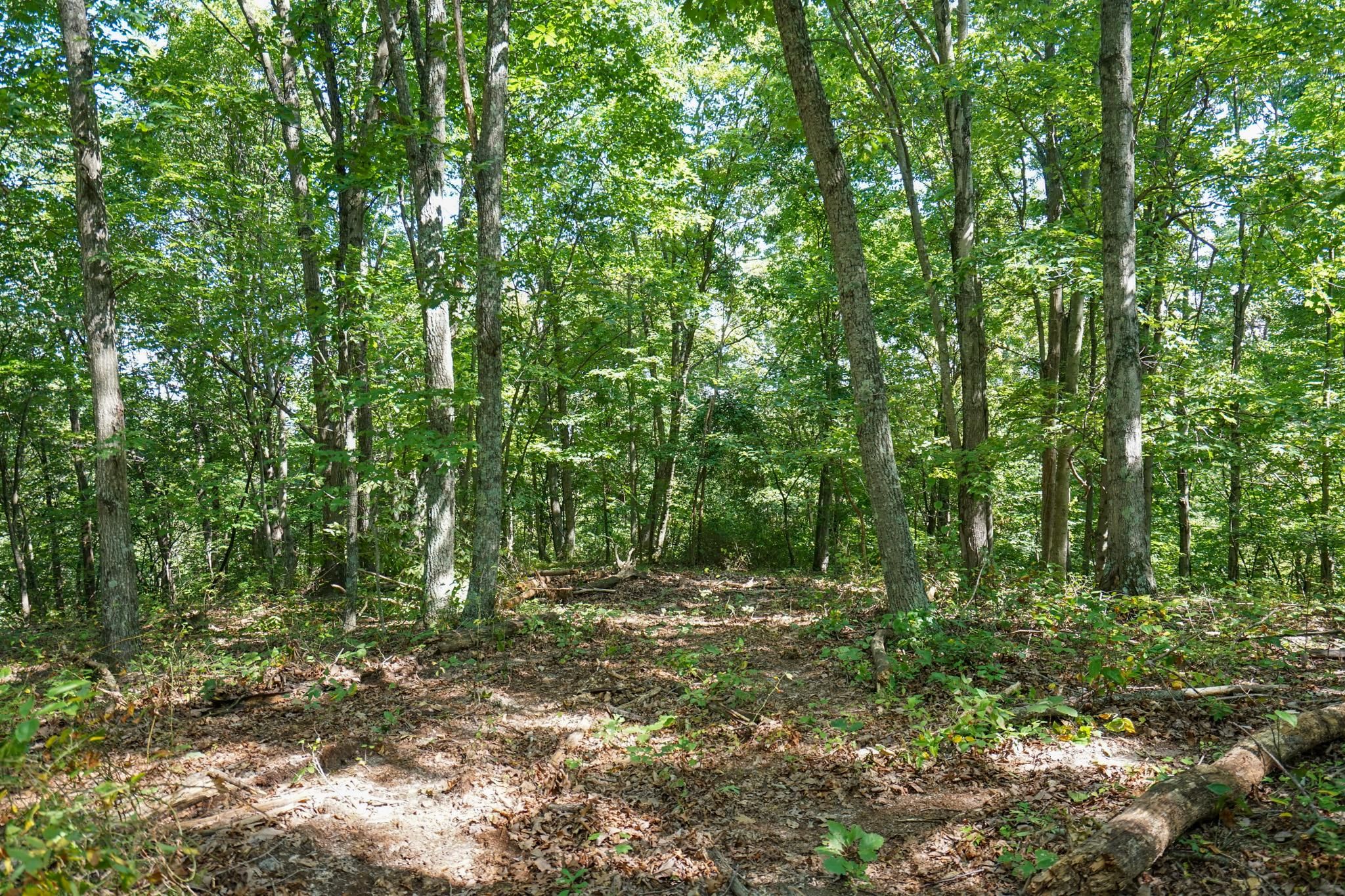 19.3 acres in Jackson County, Ohio