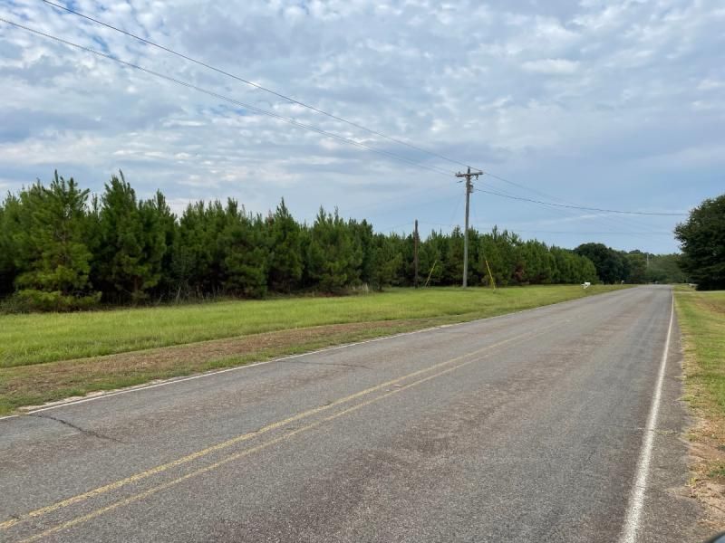 11 acres near Tylertown, MS