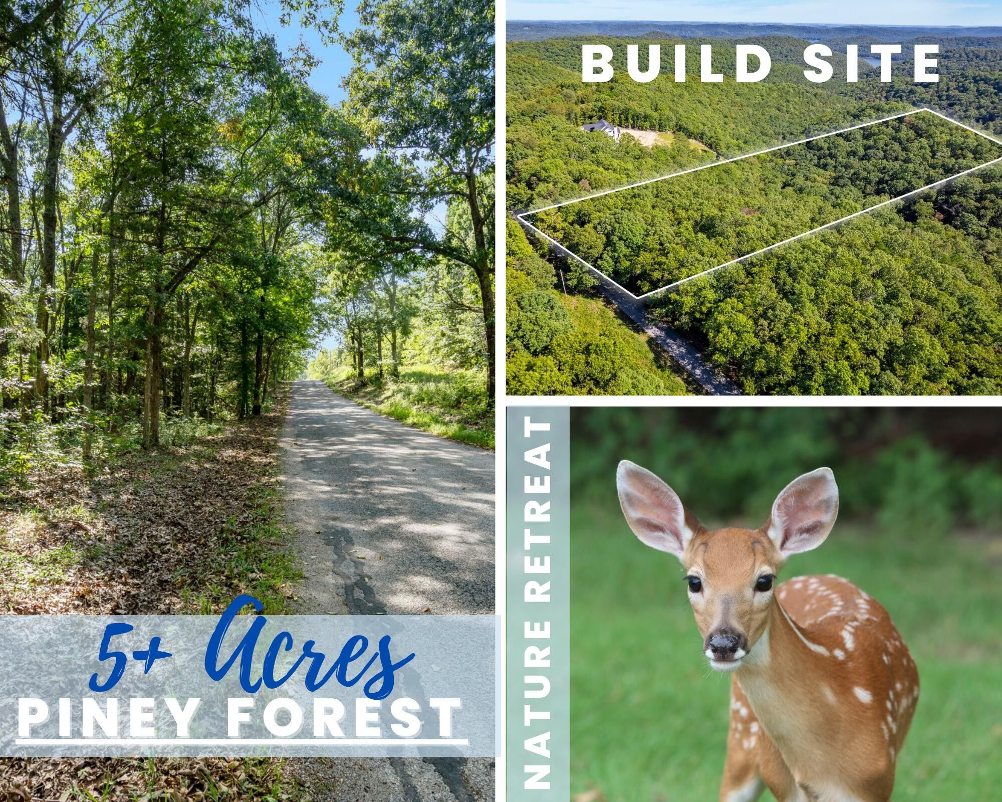 5.83 acres in Stone County, Missouri