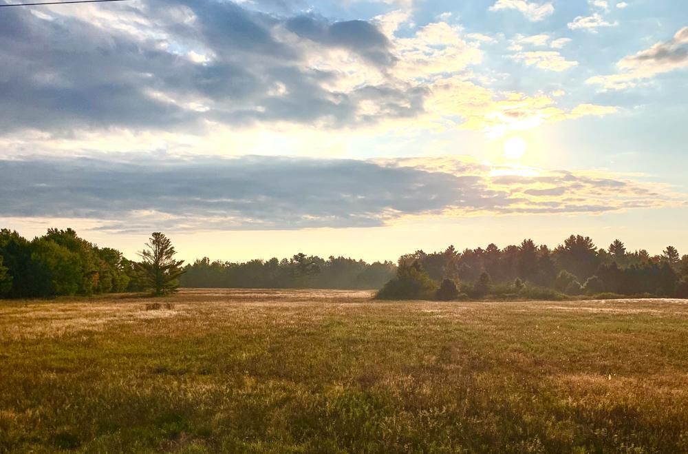 174 acres in Wood County, Wisconsin