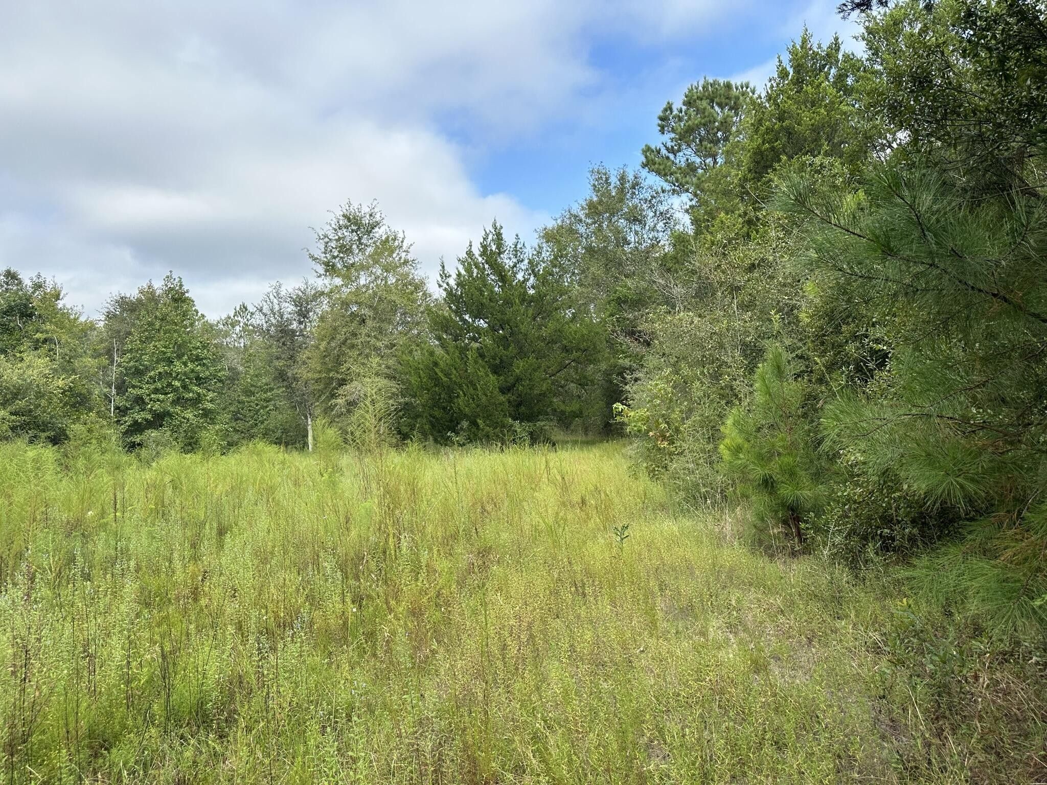 60 acres in Holmes County, Florida