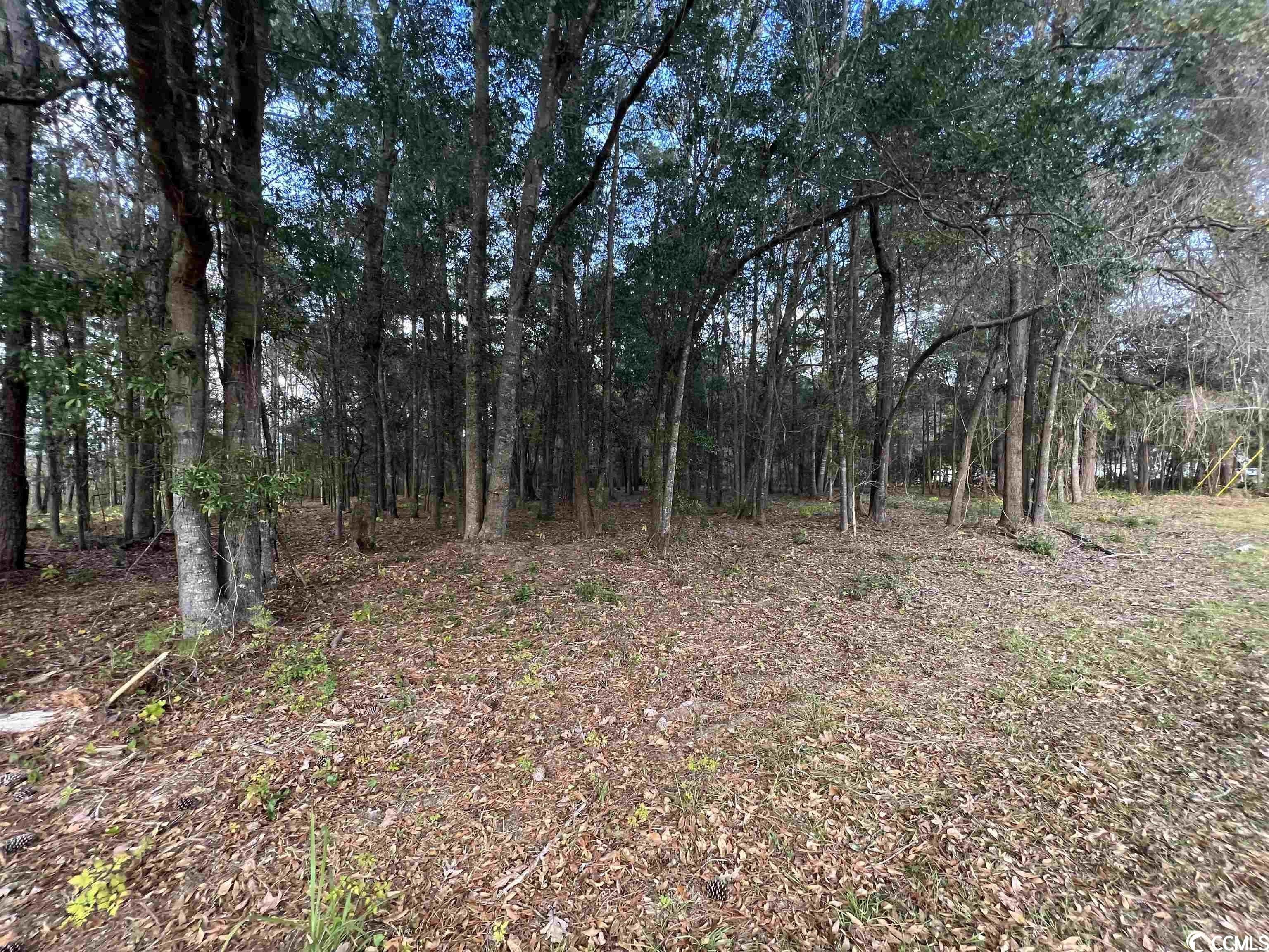 3 acres in County, South Carolina