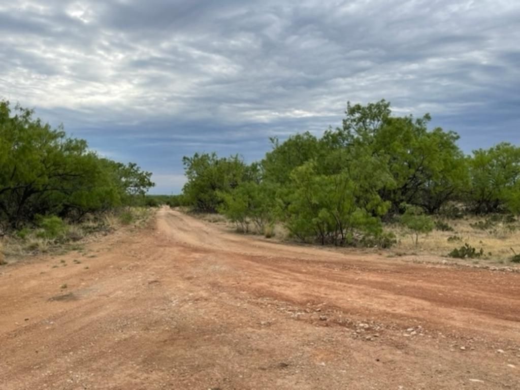 18.7 acres in Coke County, Texas