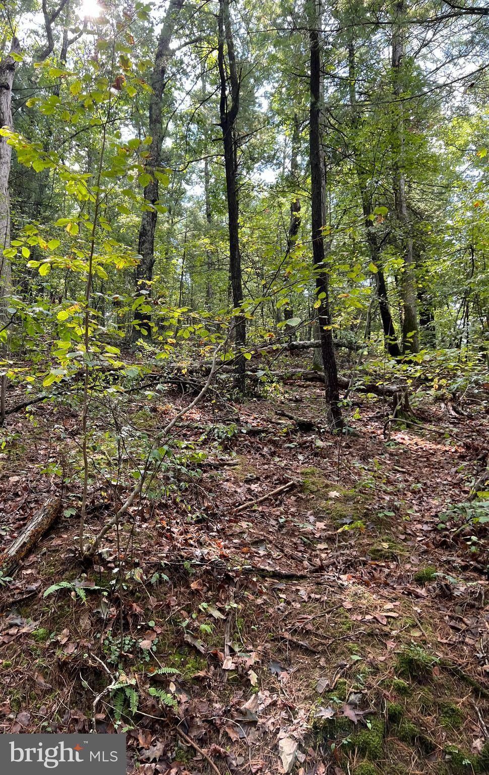 SOMERS LANE, Berkeley Springs, WV 25411 MLS WVMO2003550