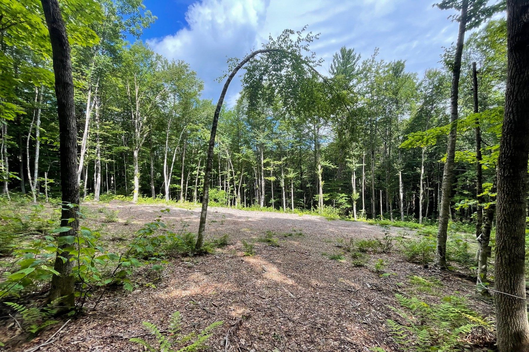 13 acres in Windham County, Vermont
