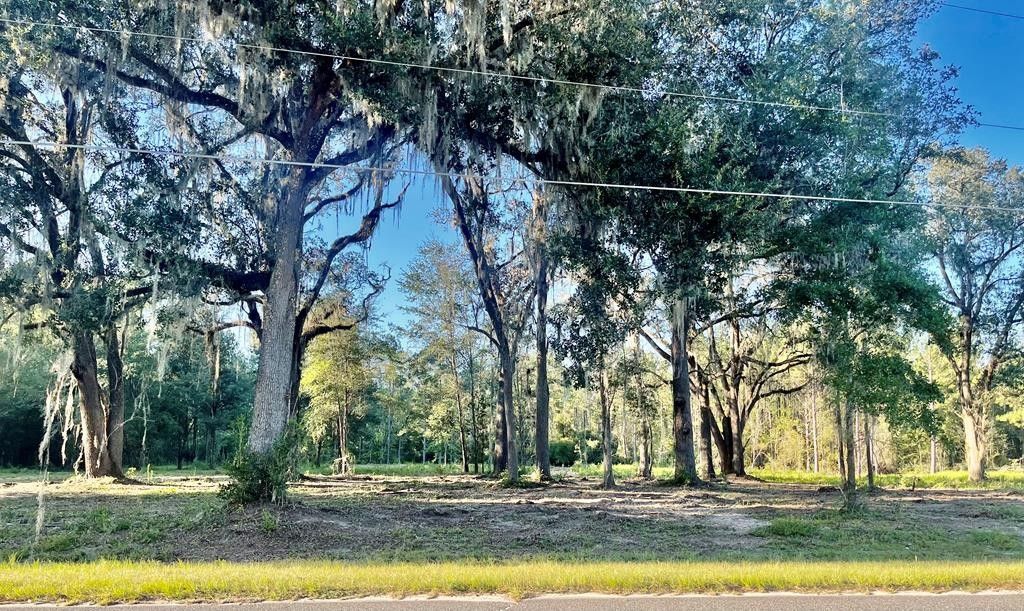 30 acres in Lowndes County,