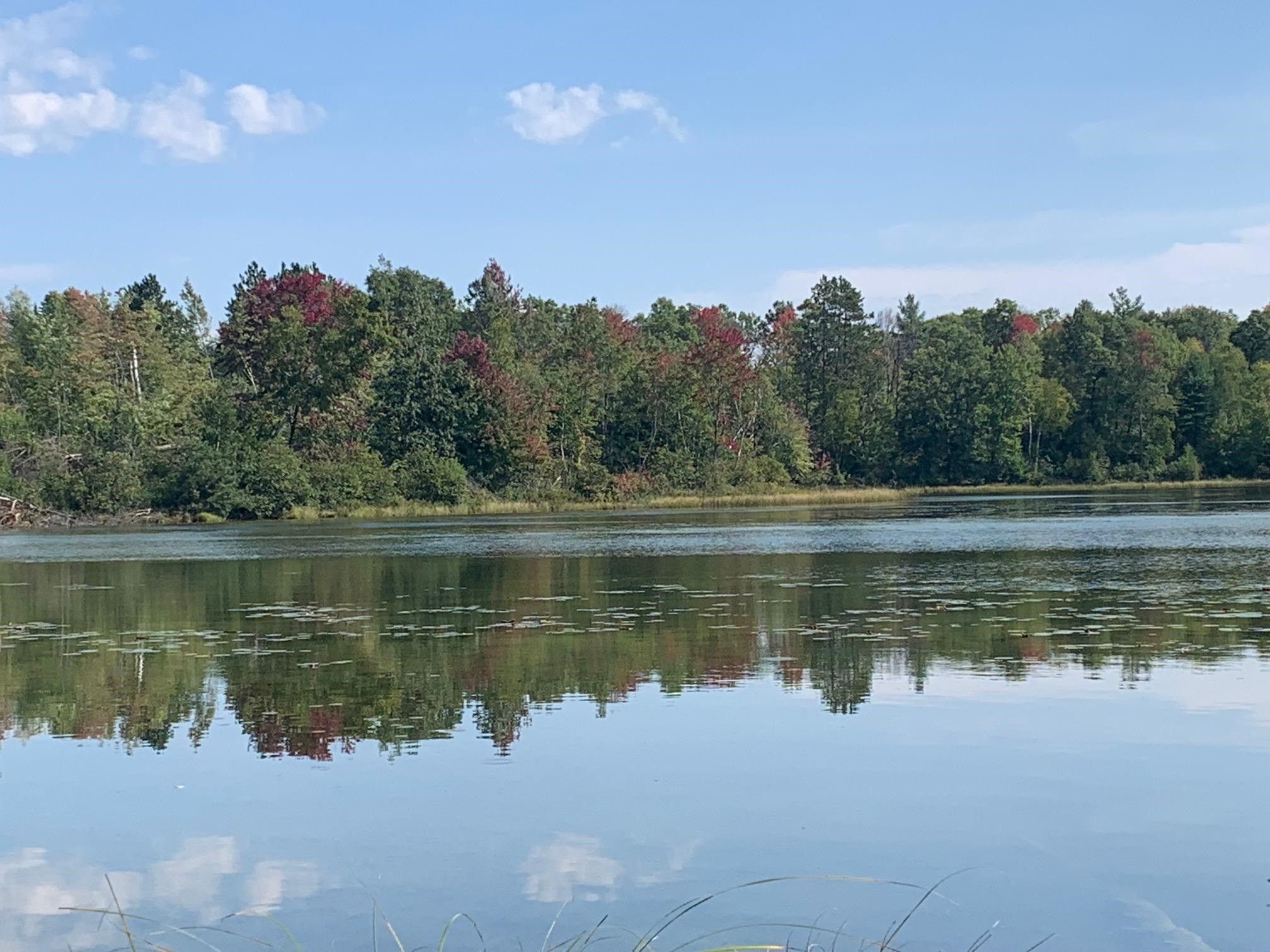 3 acres in County, Wisconsin